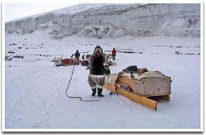 If you plan on incorporating other pre. Lesson Plan Arctic Animals Climate Generation A Will Steger Legacy