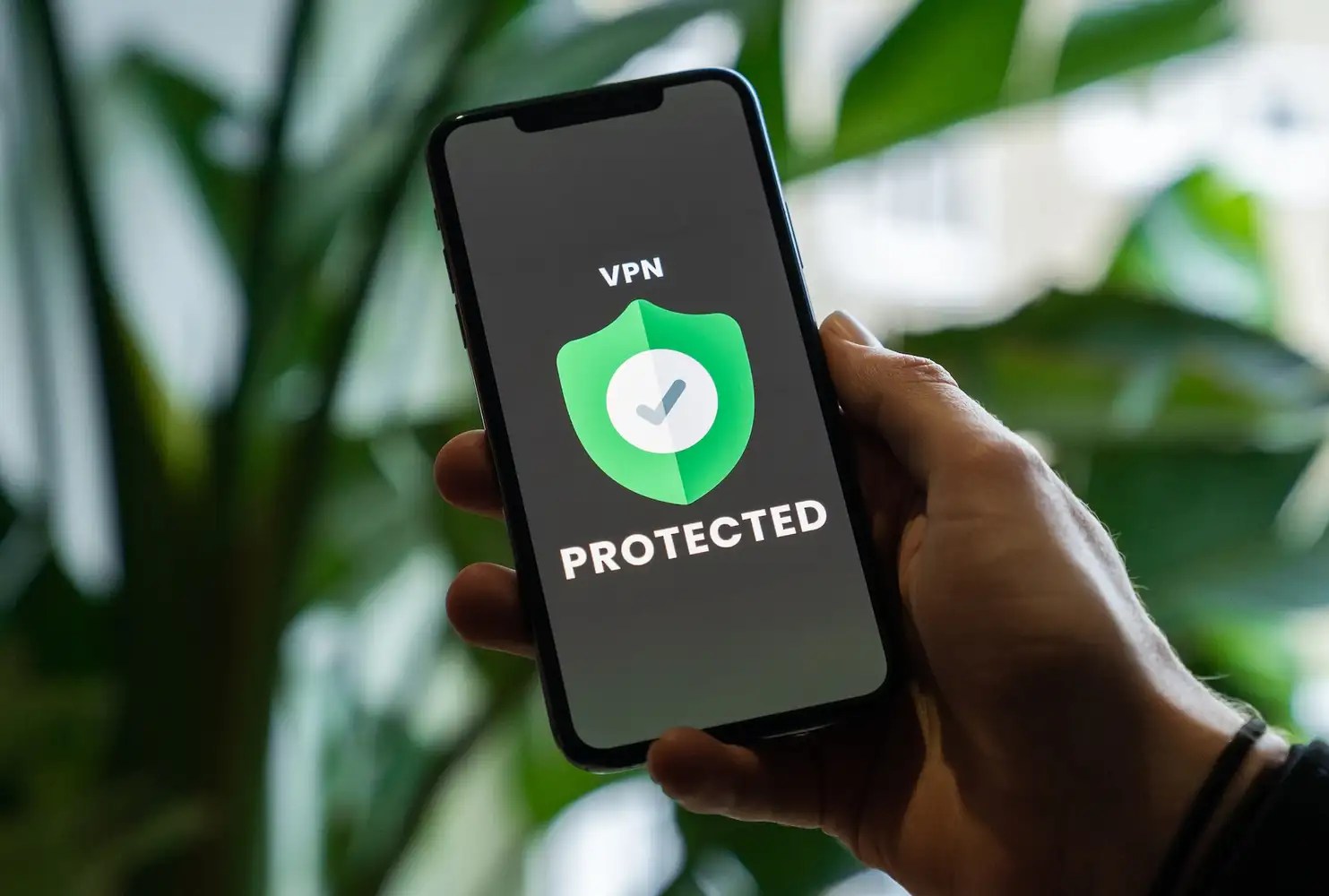 best VPNs for torrenting