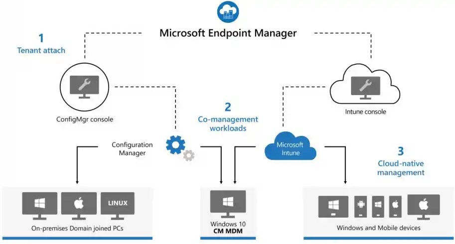 Microsoft Endpoint Management Implementations May Thae S Portfolio - Perfect Light Background - Ultra HD