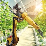 RPA: The first step towards your digital transformation journey
