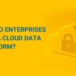 Why do Enterprises need a Cloud Data Platform?