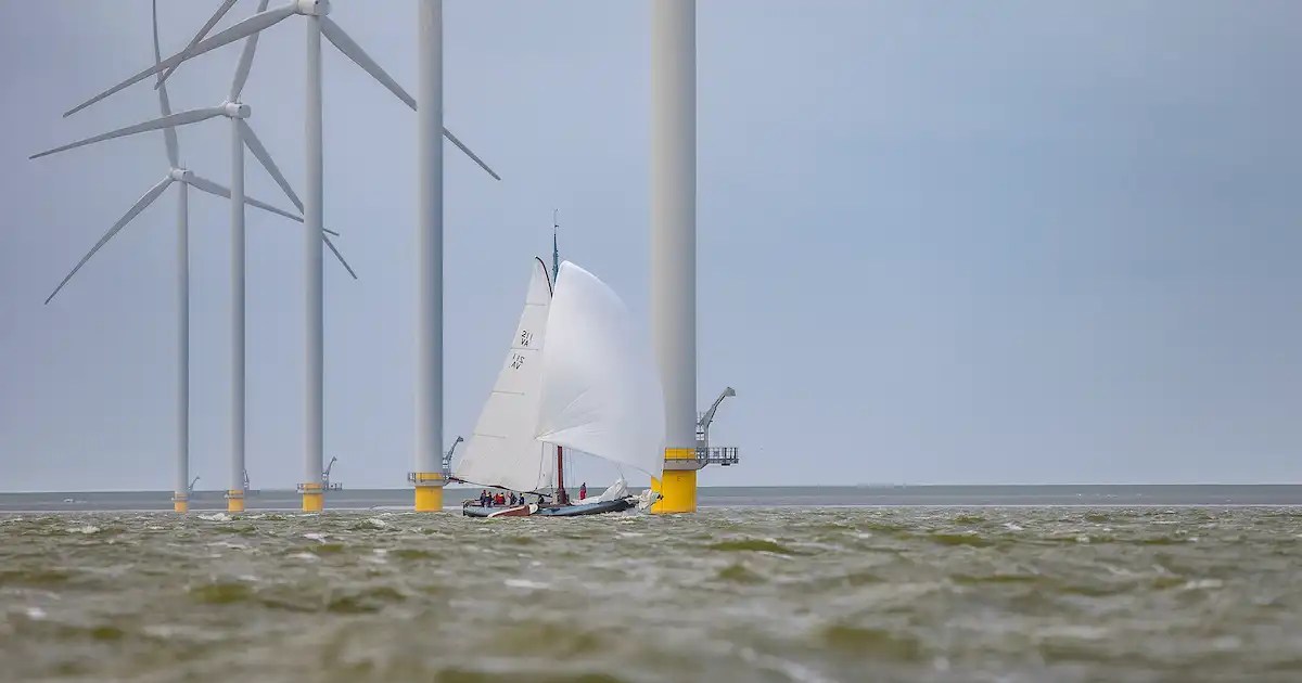Windmill Cup 2024: zeilwedstrijd over IJsselmeer en Windpark Fryslân bijna volgeboekt