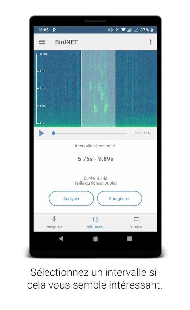 Birdnet, l'application pour identifier les oiseaux 3 BirdNet