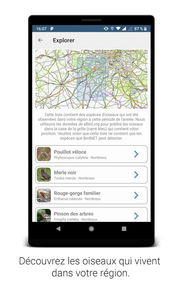 Birdnet, l'application pour identifier les oiseaux 6 BirdNet