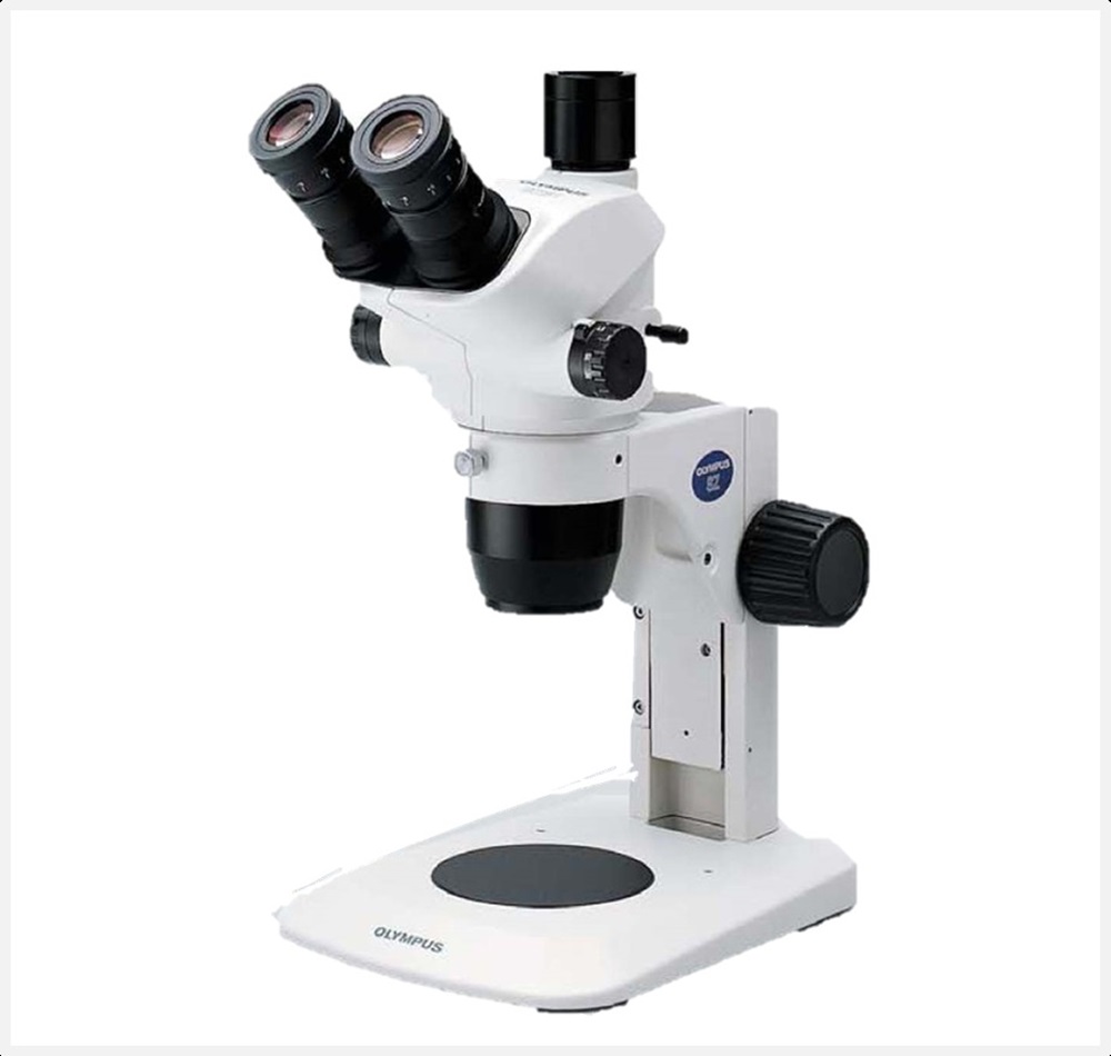 Stereo Microscope