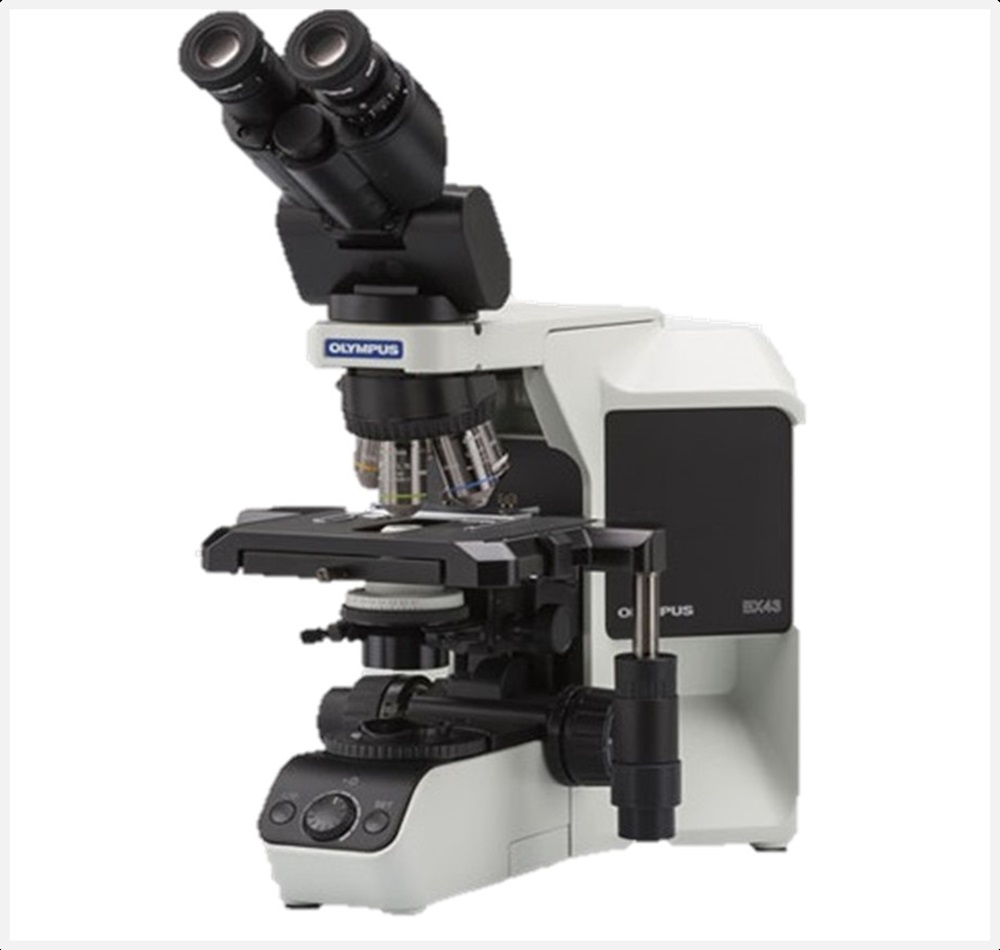 Upright Microscopes