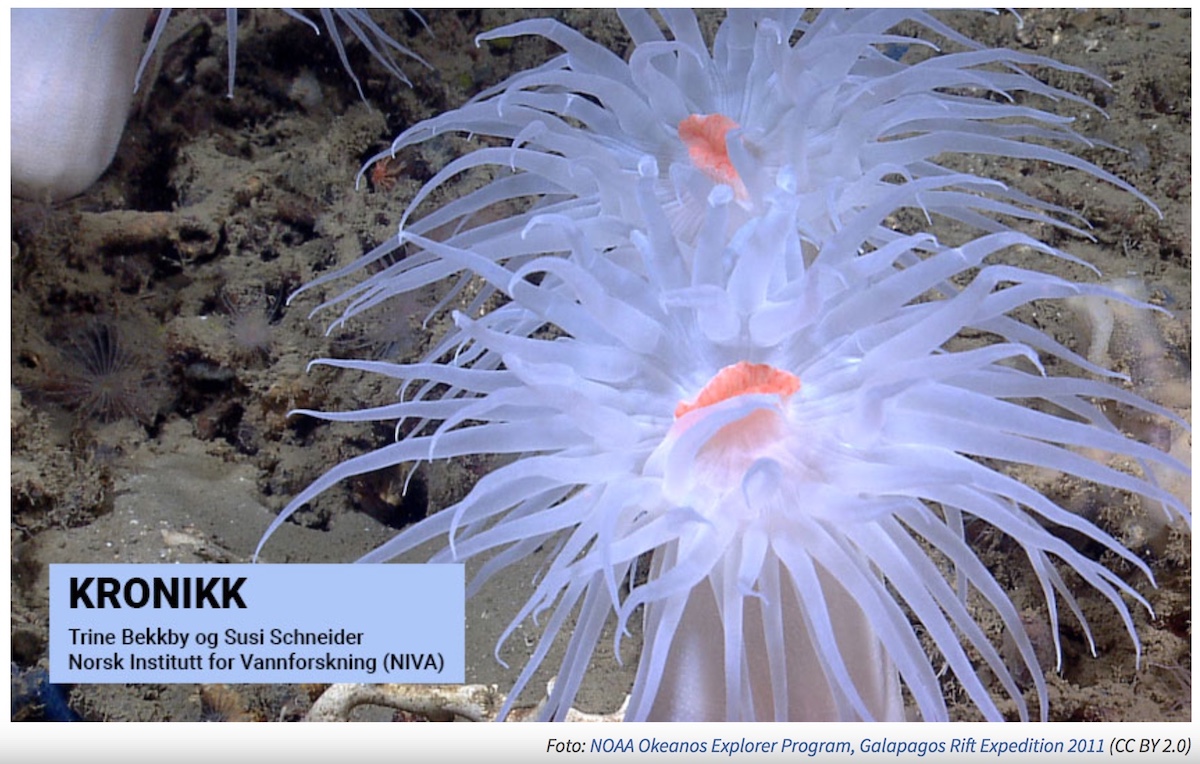 Article in Dykking on Biodiversity Day 2021