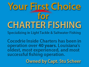 Saltwater Fishing Light Tackle Fishing Chauvin La