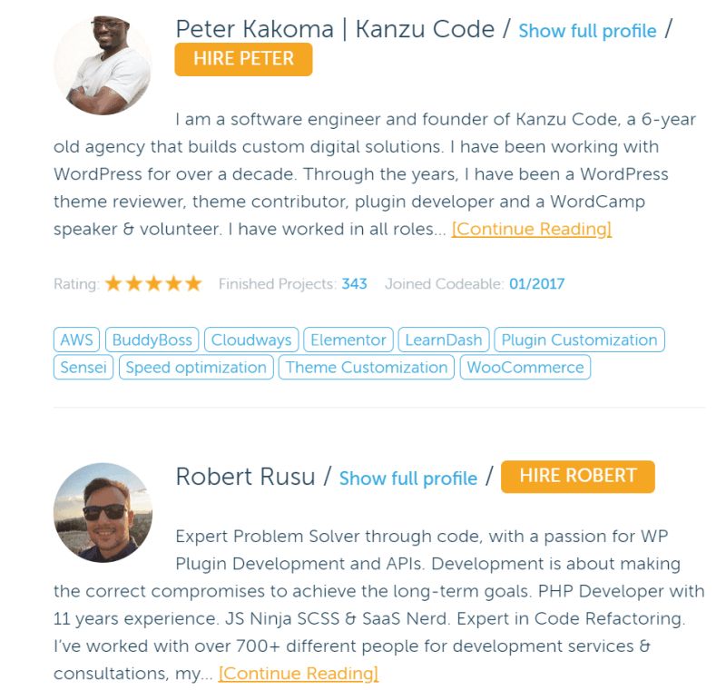 Linden May Wordpress Developer Codeable - Download Premium Landscape Art | Full HD