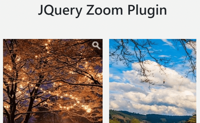 Simple JQuery Zoom Image On Hover — CodeHim