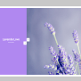 Vertical Image Slider In JavaScript — CodeHim