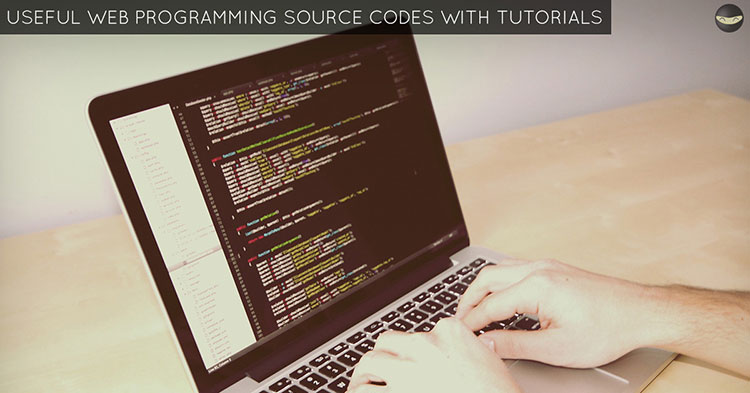 web-programming-source-codes-with-tutorials