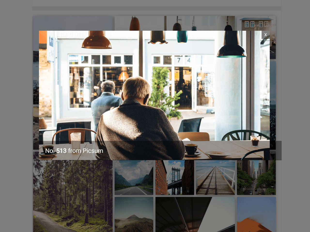 JavaScript Image Gallery With Thumbnails and Control Buttons