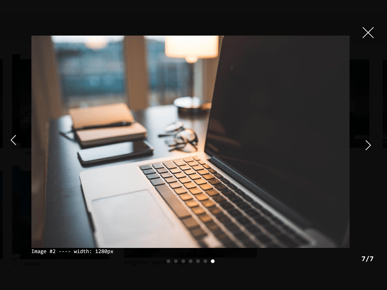 JavaScript Image Gallery With Thumbnails and Control Buttons