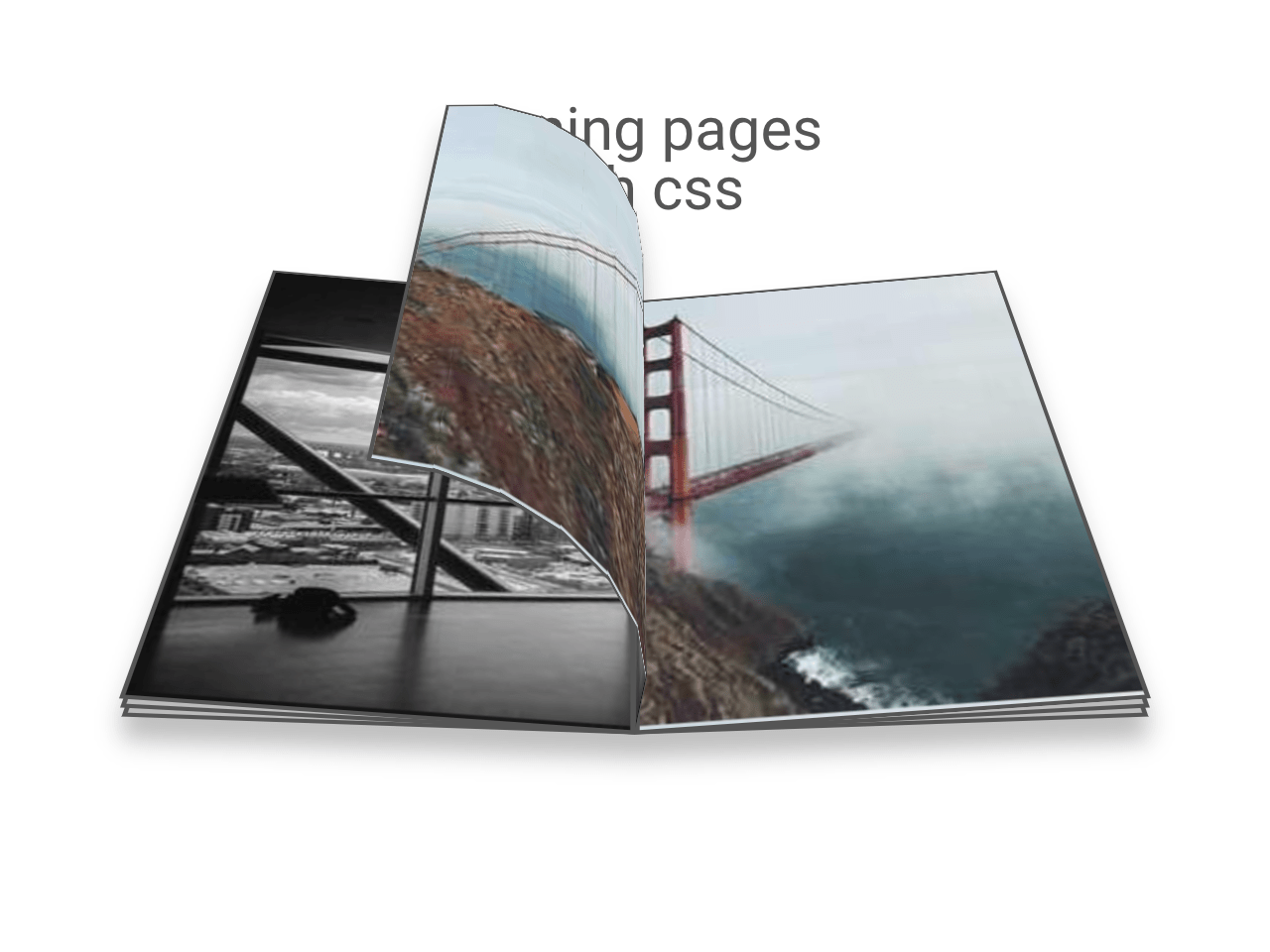 Book Cover Page Turning Effect CSS — CodePel