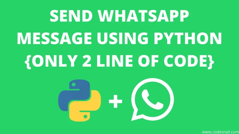 Whatsapp Automate Message With Python Code Pythonprogramming Python Whasaap Youtube - City Pictures - Perfect 8K Collection