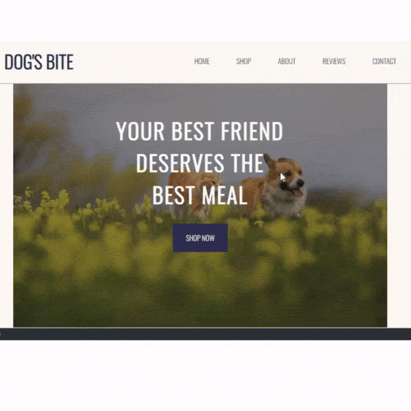 Responsive Pet Shop Website Using Html Css Javascript Pet Care - Classic Ocean Photo - Ultra HD