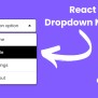 Dropdown Menu React | CodewithFaraz