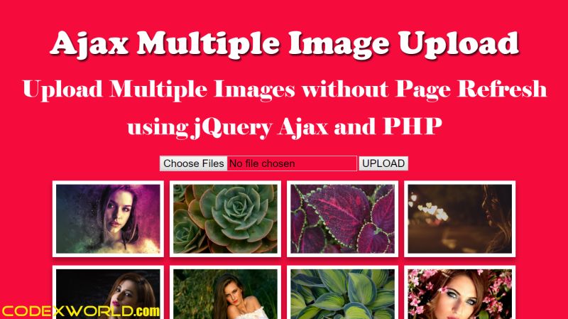 How To Upload And Resize Image Using Php And Ajax Qms - Premium Retina Sunset Pictures | Free Download