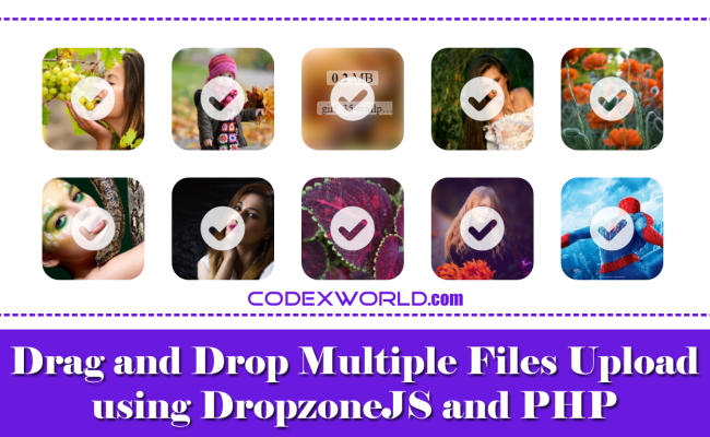Drag And Drop File Upload Using DropzoneJS And PHP - CodexWorld
