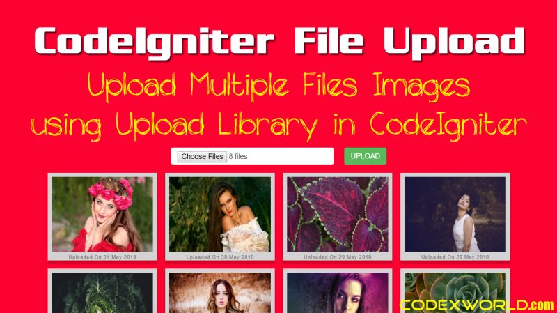 How To Upload Multiple Files In Codeigniter In 2025 - Premium Light Picture Gallery - Desktop