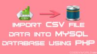Import Export Csv File In Database Using Php Mysql Codexworld Codexworld - Vintage Background Collection - HD Quality