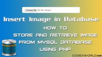 Php I Want To Retrieve All Images From Database If Image Path Is Stored In Database Stack - Premium Minimal Picture Gallery - Retina