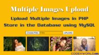 Upload Multiple Image With Jquery Php Mysql Wd - Ultra HD Colorful Background - 4K