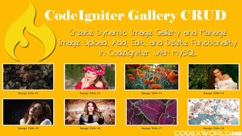 Image Crud 2 Codeigniter 3 X How To Fetch Image In Html Table Data - Mobile Gradient Backgrounds for Desktop