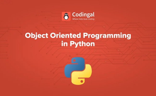 What Is Object Oriented Programming | Codingal
