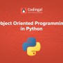 What Is Object Oriented Programming | Codingal