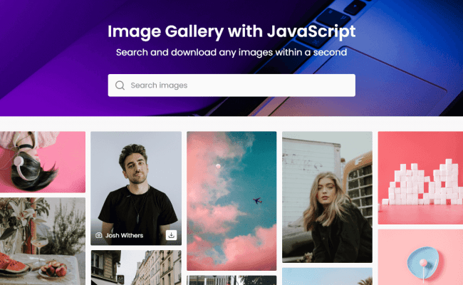 Create Functional Image Gallery In HTML CSS & JavaScript