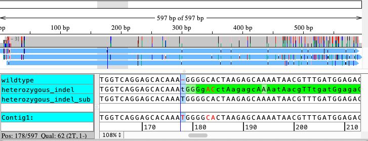 Heterozygous Indel Analysis In Sanger Sequences Using Codoncode Aligner - Gradient Background Collection - Mobile Quality