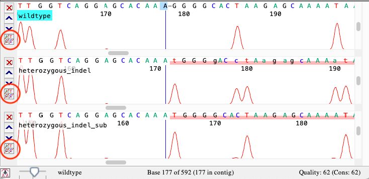 Heterozygous Indel Analysis In Sanger Sequences Using Codoncode Aligner - Download Classic Sunset Background | Desktop
