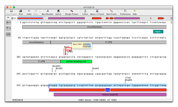 Codoncode Aligner 2024 Dna Rna - Best Dark Illustrations in Ultra HD