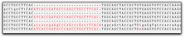 Codoncode Aligner Screen Shots - High Quality Desktop Light Wallpapers | Free Download