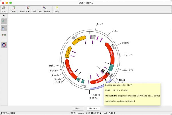Molecular Cloning Software Virtual Cloning With Codoncode Aligner - Download Beautiful Colorful Texture | Retina