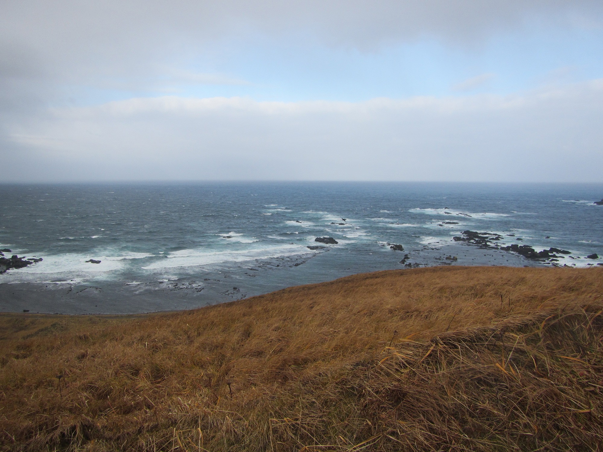 View from a grassy coastal bluff overlooking the ocean, with waves breaking along a rocky shoreline beneath cloudy skies.