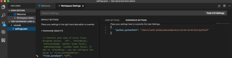 VS Code Workplace Settings