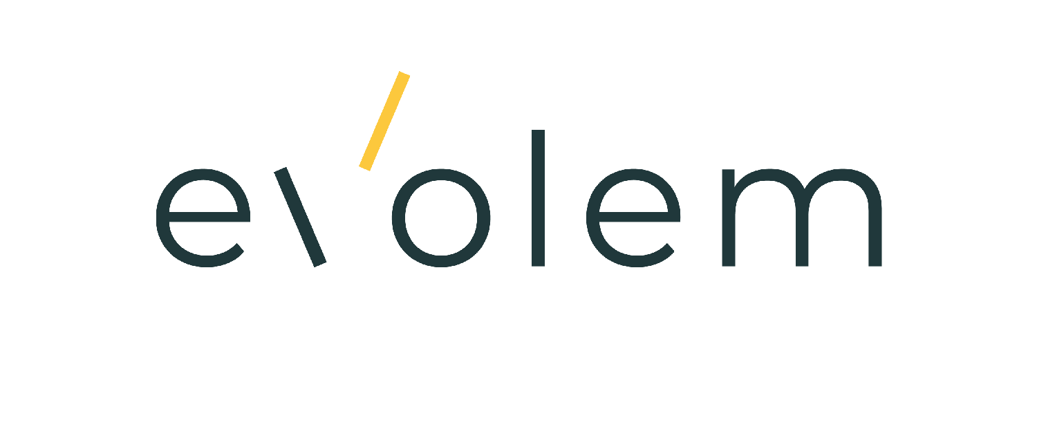 logo logotype partenaire EVOLEM financement partenaire financier mécène mécénat