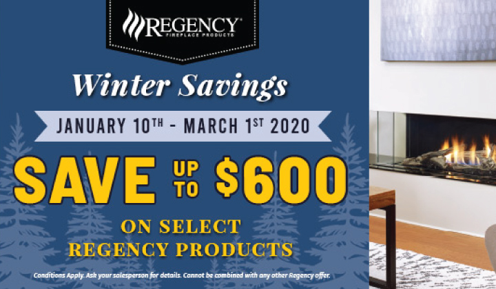 Fireplace Inserts Regency Gas Fireplace Inserts Prices