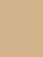 Featured conditions your eye is a complex and compact structure measuring about 1 inch (2.5 centimeters) in diameter. Tan / #d2b48c hex color