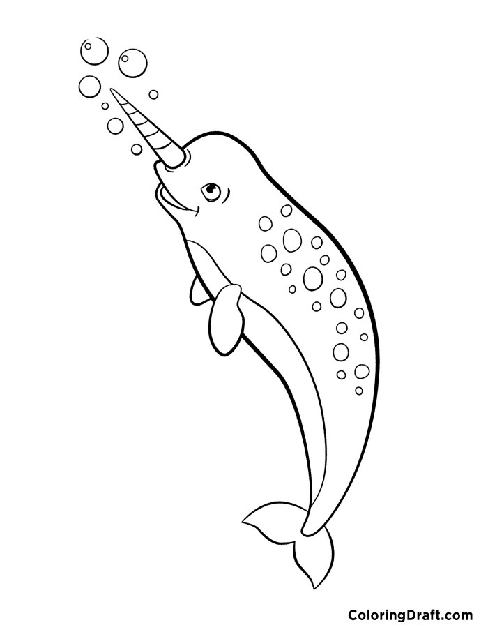 Narwhal coloring pages