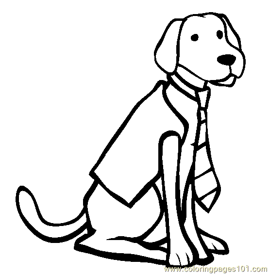 coloring pages labrador retriever mammals dogs free printable