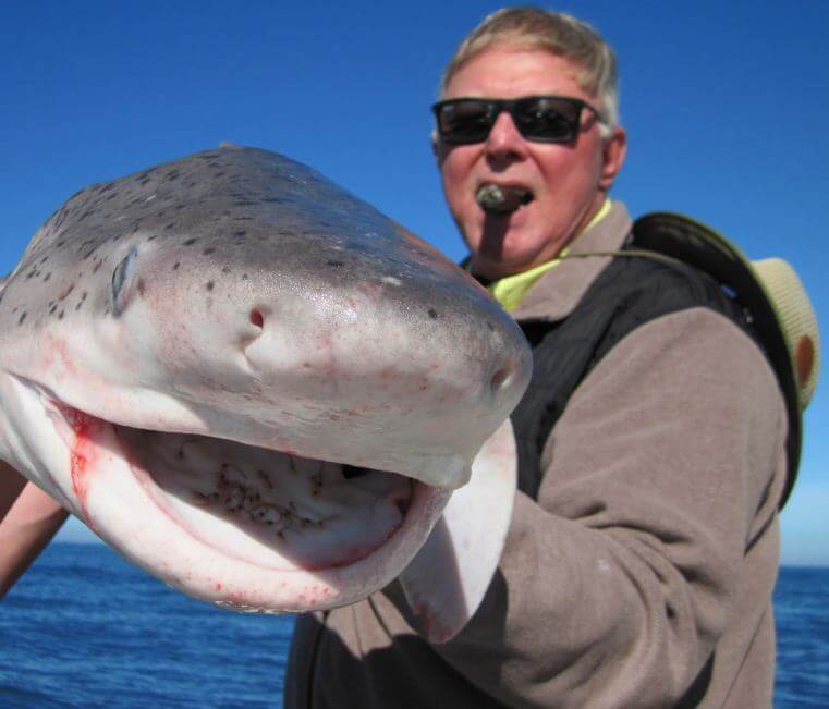 Cape Town Fishing Charter Cometocapetown Com