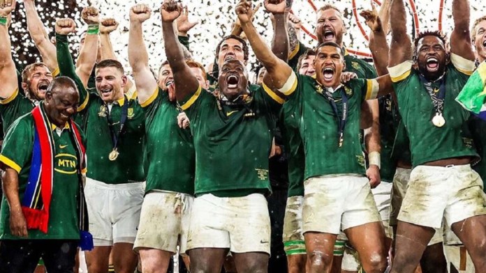 Did the Springboks Reclaim Their Throne