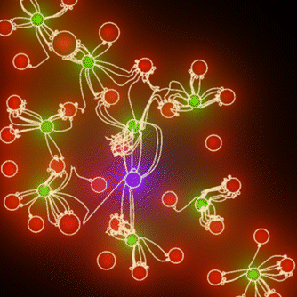 neural_net