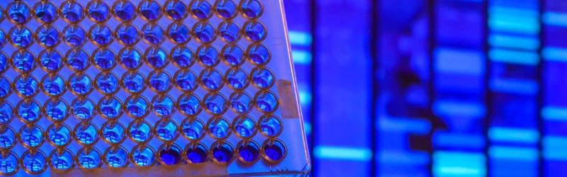 Polytech Lab Billing Https Lnkd In Gkznawqd Comp Pro Med - Full HD Space Designs for Desktop