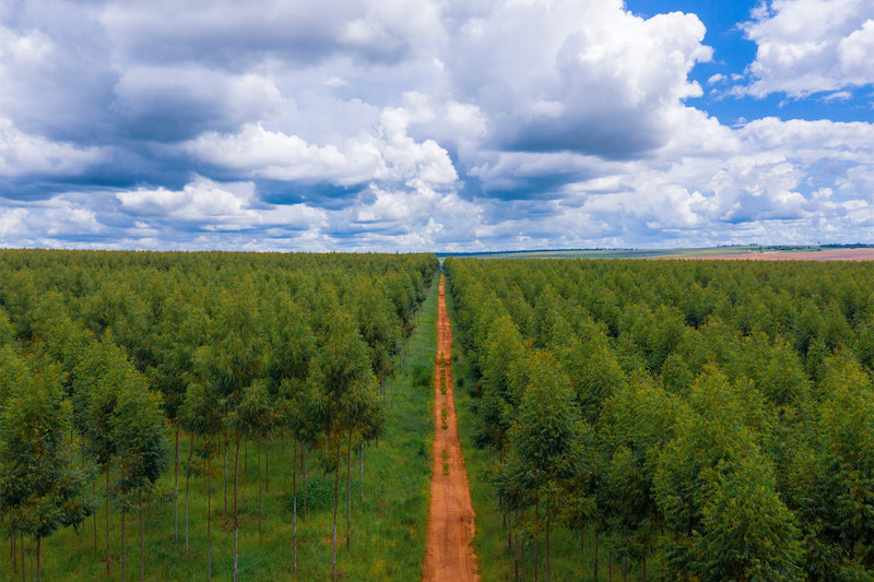 2023AppleCarbonFootprint