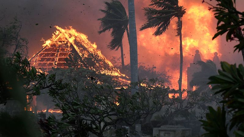 2023MauiWildfires